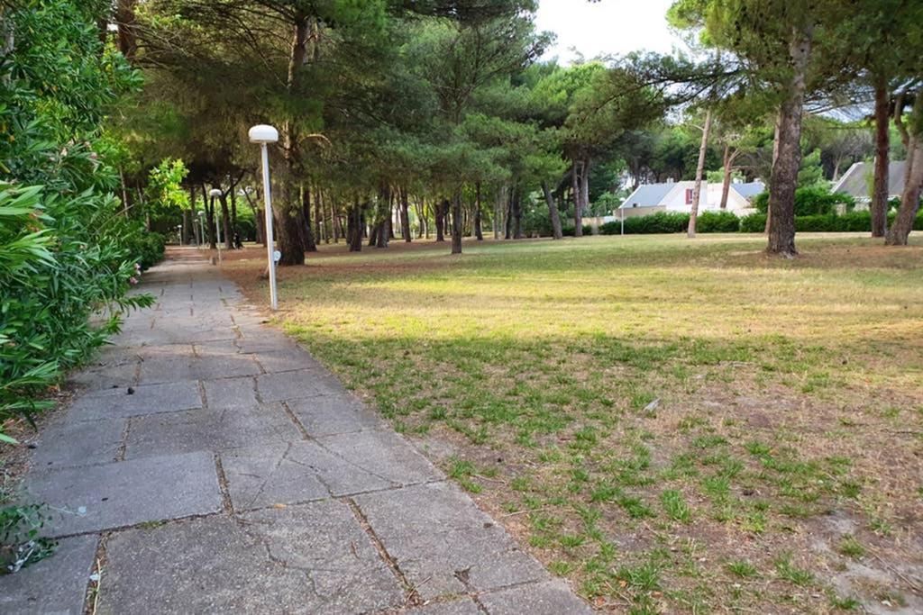 Studio Cabines 6 Couchages 150 M De La Plage Et A Quelques Secondes Des Commerces Wifi Gratuit ลา กร็องเดอ-ม็อต ภายนอก รูปภาพ